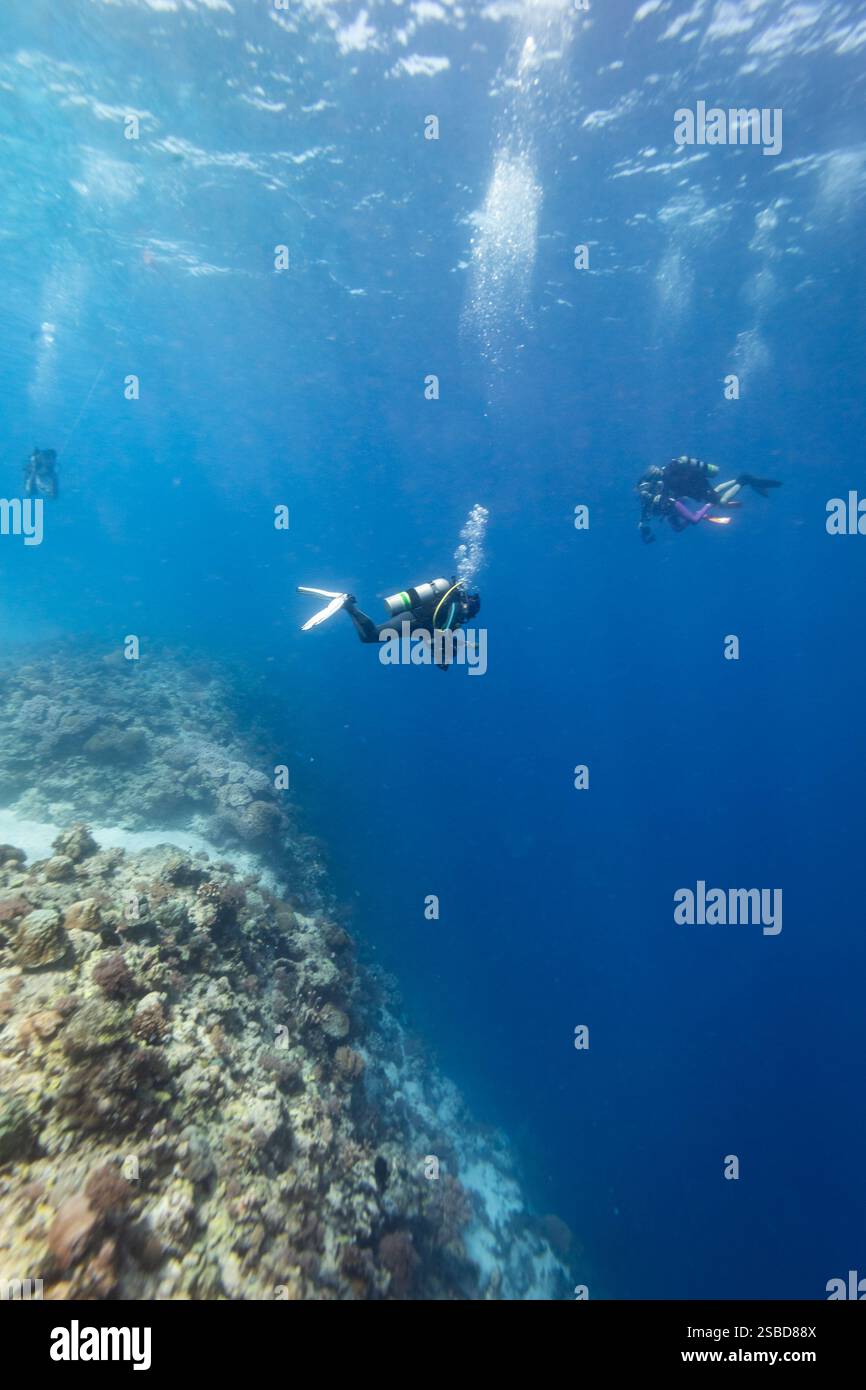 Taucher schweben über den Rand der steilen Korallenwand, die 1000 Meter tiefer liegt Stockfoto