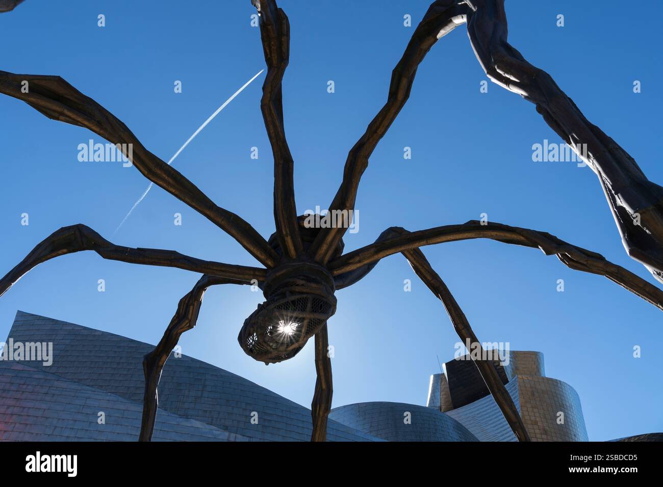 Die Sonne scheint durch Louise Bourgeois’ monumentale Skulptur Maman im Guggenheim Museum in Bilbao, Baskenland, Spanien. Stockfoto