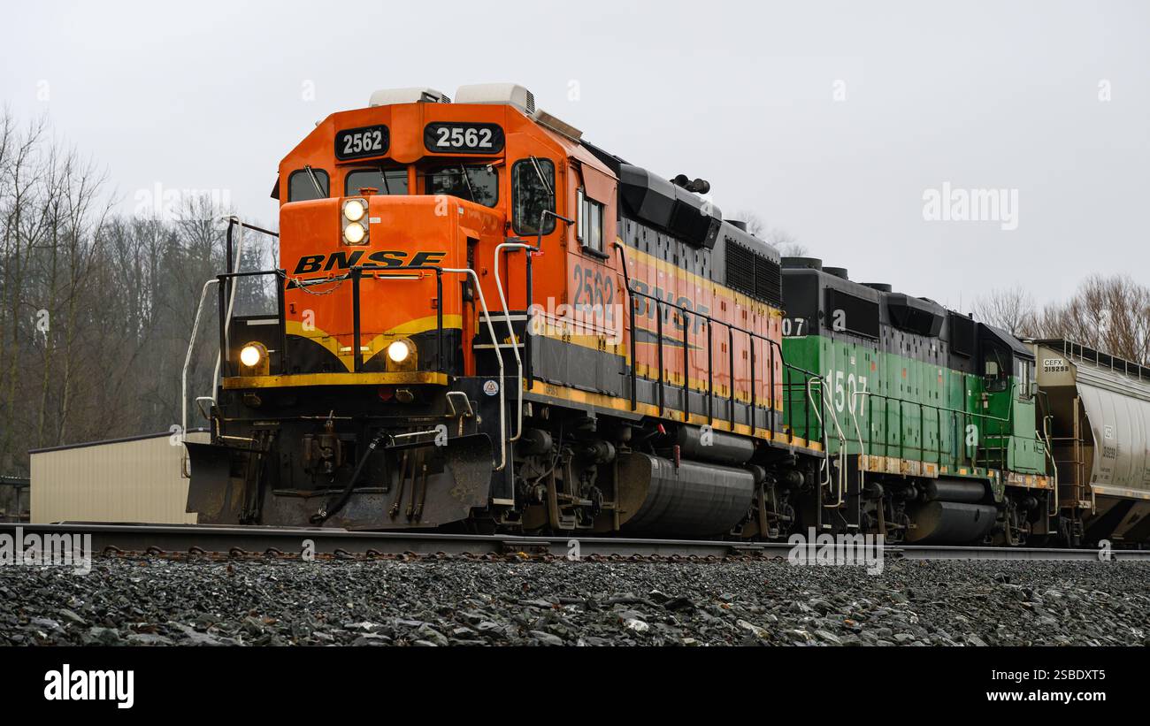 Sumas, WA, USA - 8. Januar 2025; Paar orange und grüne BNSF-Güterzuglokomotiven am Damm Stockfoto