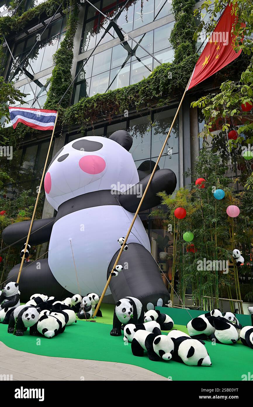 Großer aufblasbarer Panda, der thailändische und chinesische Nationalflaggen fliegt, markiert das Mondneujahr 2025 und 50 Jahre thailändischer diplomatischer Beziehungen Stockfoto