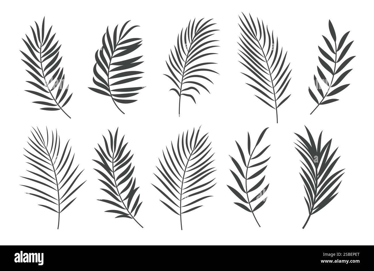 Clipart-Set für Palmensilhouette. Palme und Kokosnussblätter Clip Art Sammlung in Hand gezeichnet schwarze Icon Vektor Illustration. Stock Vektor