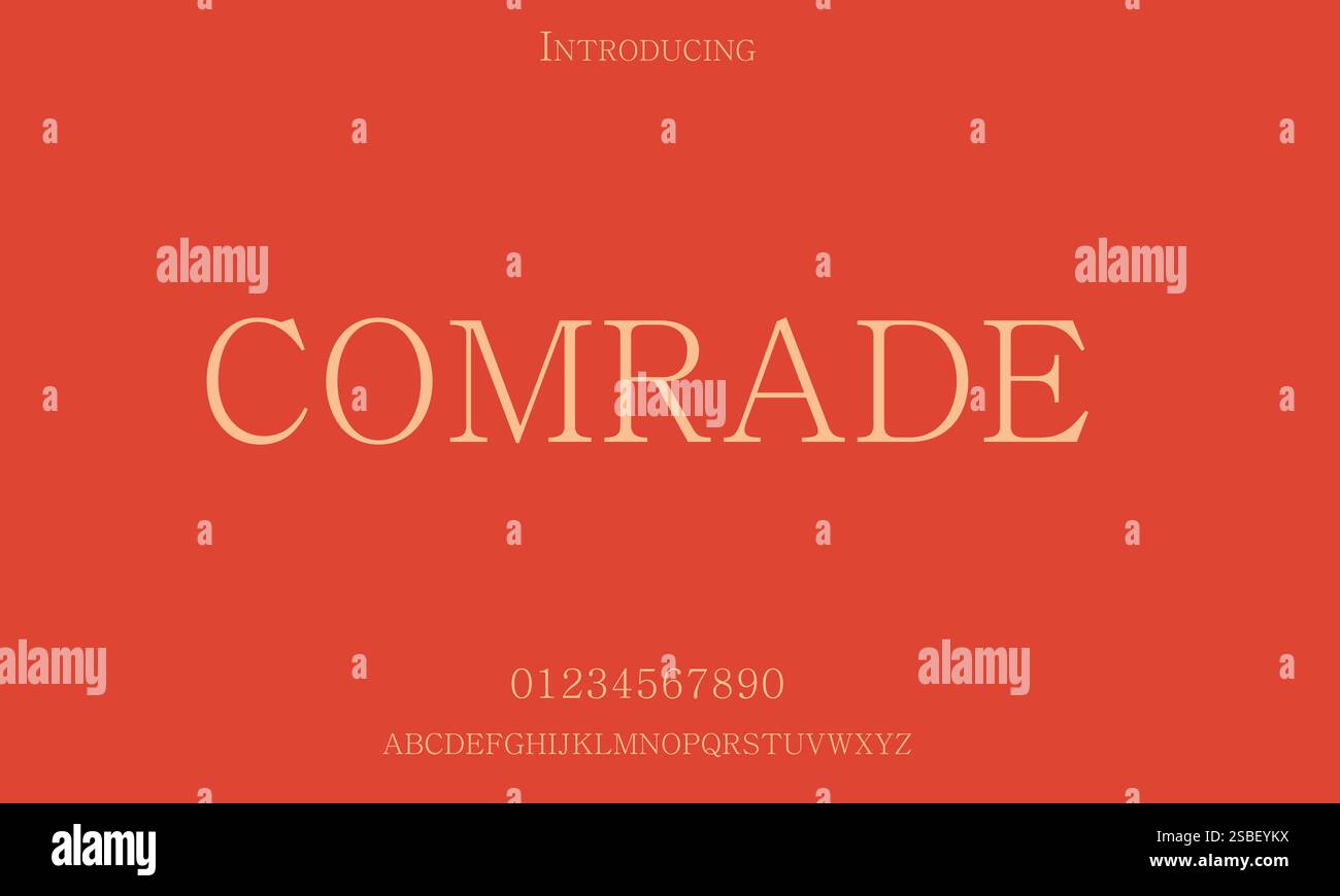 Elegante Schriftart, Serif Schriftart, Sans Serif, Modern Typography, Klassische Schriftart, Handgeschriebene Schriftart, Anzeigetext, Skriptschrift, Großbuchstaben, Stock Vektor