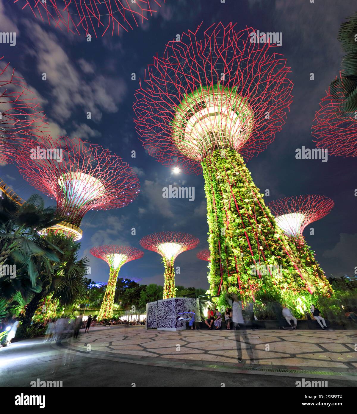 Singapur - Supertree Garten bei Nacht, Garten durch die Bucht Stockfoto