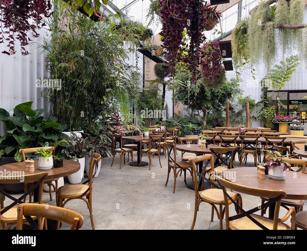 Helles und luftiges, mit Pflanzen gefülltes, hängendes Gartencafé-Restaurant - Smartphone-aufgenommenes Stockfoto