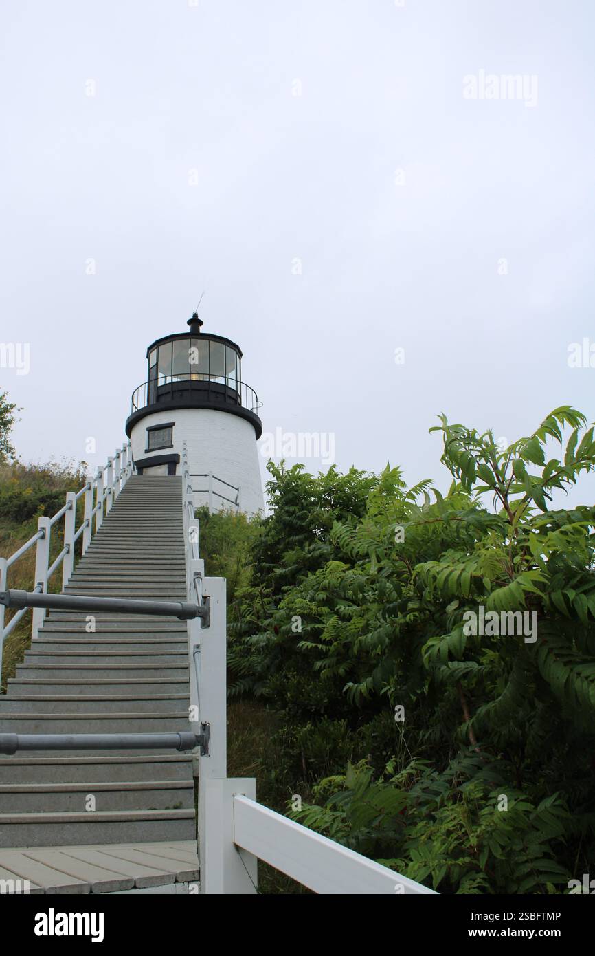 Eulen Head Lighthouse an der Küste von Maine Stockfoto