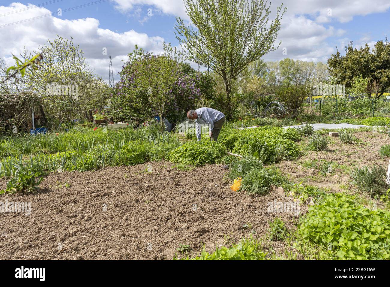 Tours (Nordwestfrankreich), 10.04.2024: Gartenwerkstatt mit dem Titel „Au jardin je cultive mA santé“ („im Garten kultiviere ich meine Gesundheit“) Stockfoto