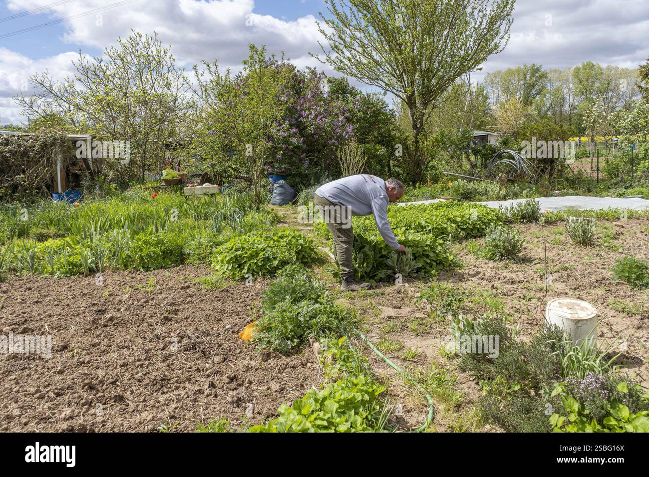 Tours (Nordwestfrankreich), 10.04.2024: Gartenwerkstatt mit dem Titel „Au jardin je cultive mA santé“ („im Garten kultiviere ich meine Gesundheit“) Stockfoto