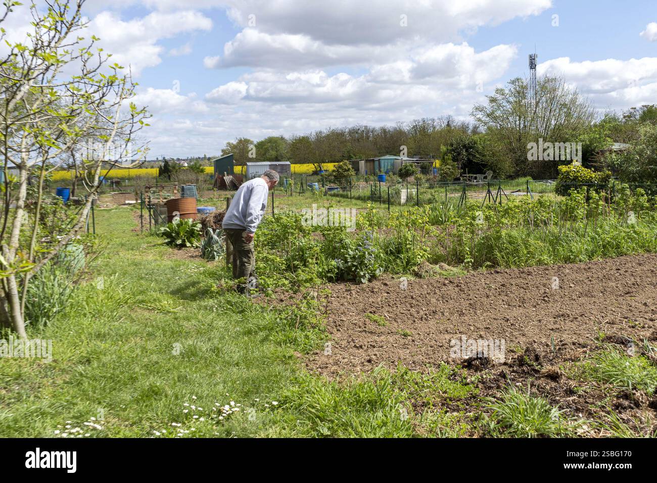 Tours (Nordwestfrankreich), 10.04.2024: Gartenwerkstatt mit dem Titel „Au jardin je cultive mA santé“ („im Garten kultiviere ich meine Gesundheit“) Stockfoto