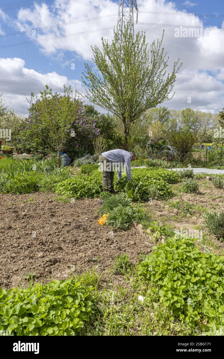 Tours (Nordwestfrankreich), 10.04.2024: Gartenwerkstatt mit dem Titel „Au jardin je cultive mA santé“ („im Garten kultiviere ich meine Gesundheit“) Stockfoto
