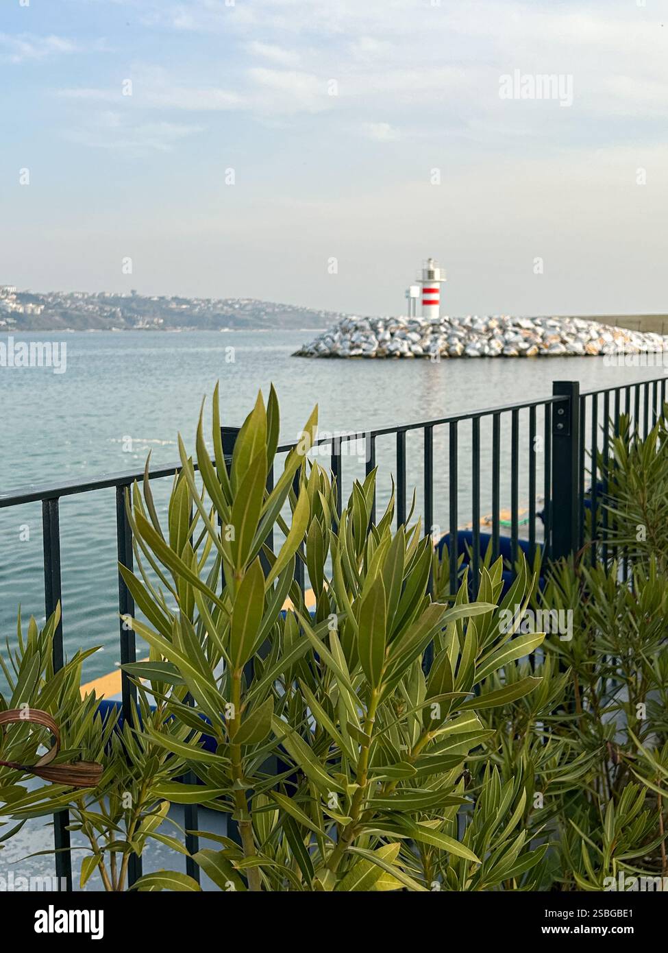 Dieses malerische Bild bietet einen ruhigen Blick auf die Küste mit einem leuchtenden rot-weißen Leuchtturm, der auf einer felsigen Barriere thront. Eingerahmt von üppig grünen Blättern Stockfoto