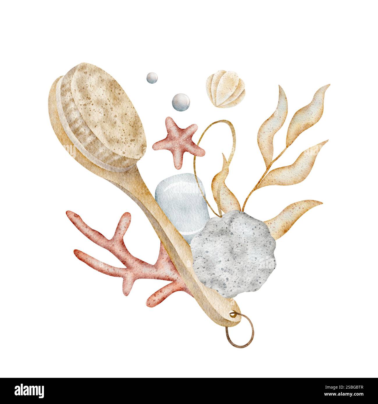 Wasserfarben Algen, Korallen, Waschlappen, Seife, Pinsel. Die Abbildungen werden von Hand gezeichnet. Komposition isoliert auf weißem Hintergrund für das Design von Karten Stockfoto