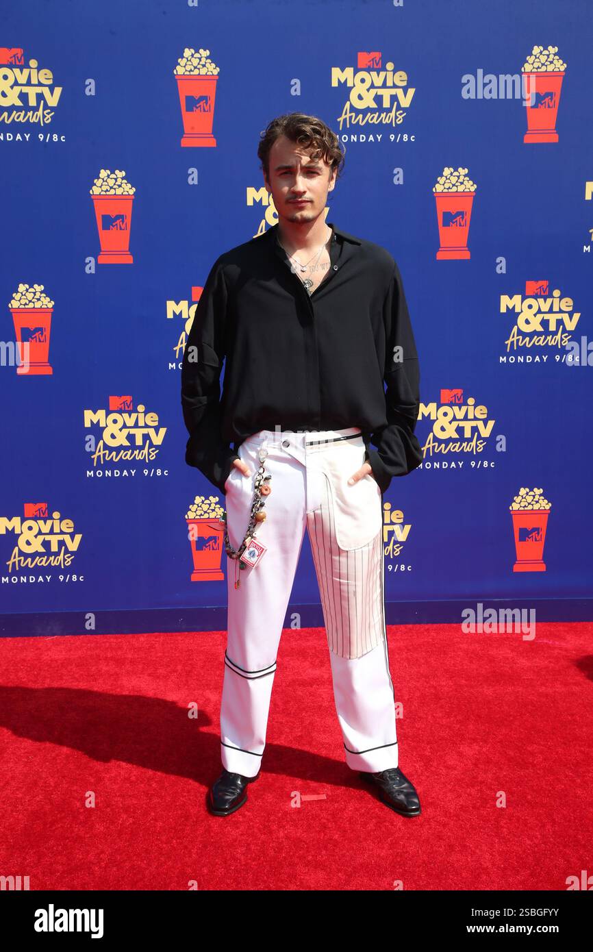 Brandon Thomas Lee bei den MTV Movie & TV Awards, Arrivals, Barker Hangar, Los Angeles, USA - 15. Juni 2019 Stockfoto