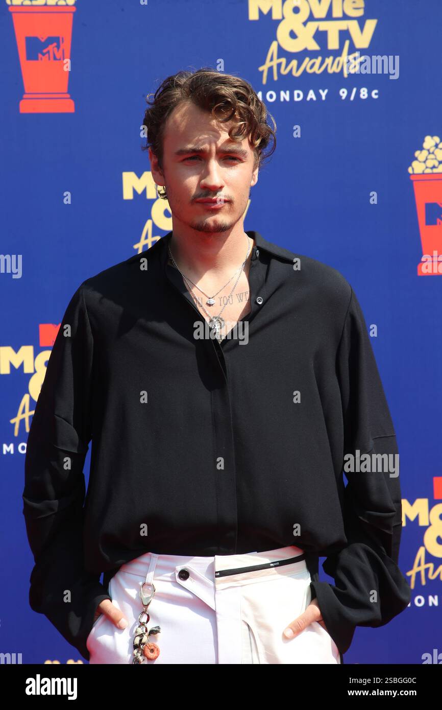 Brandon Thomas Lee bei den MTV Movie & TV Awards, Arrivals, Barker Hangar, Los Angeles, USA - 15. Juni 2019 Stockfoto