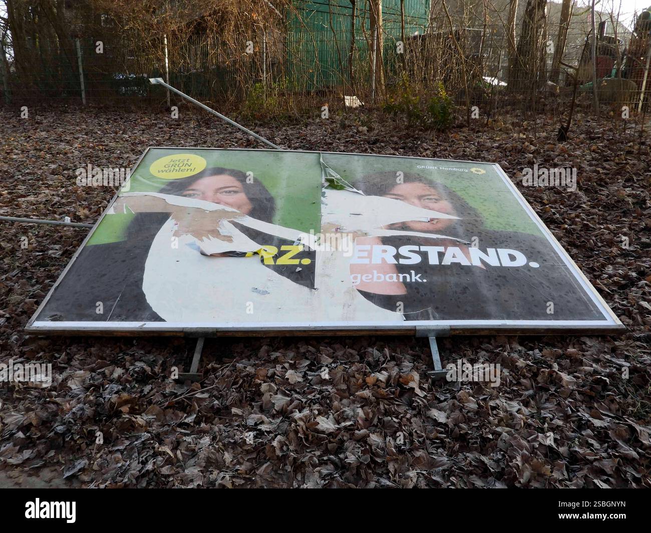 wahlplakat-der-gruenen-am-boden-umgeworfen-die-wahlplakate-am