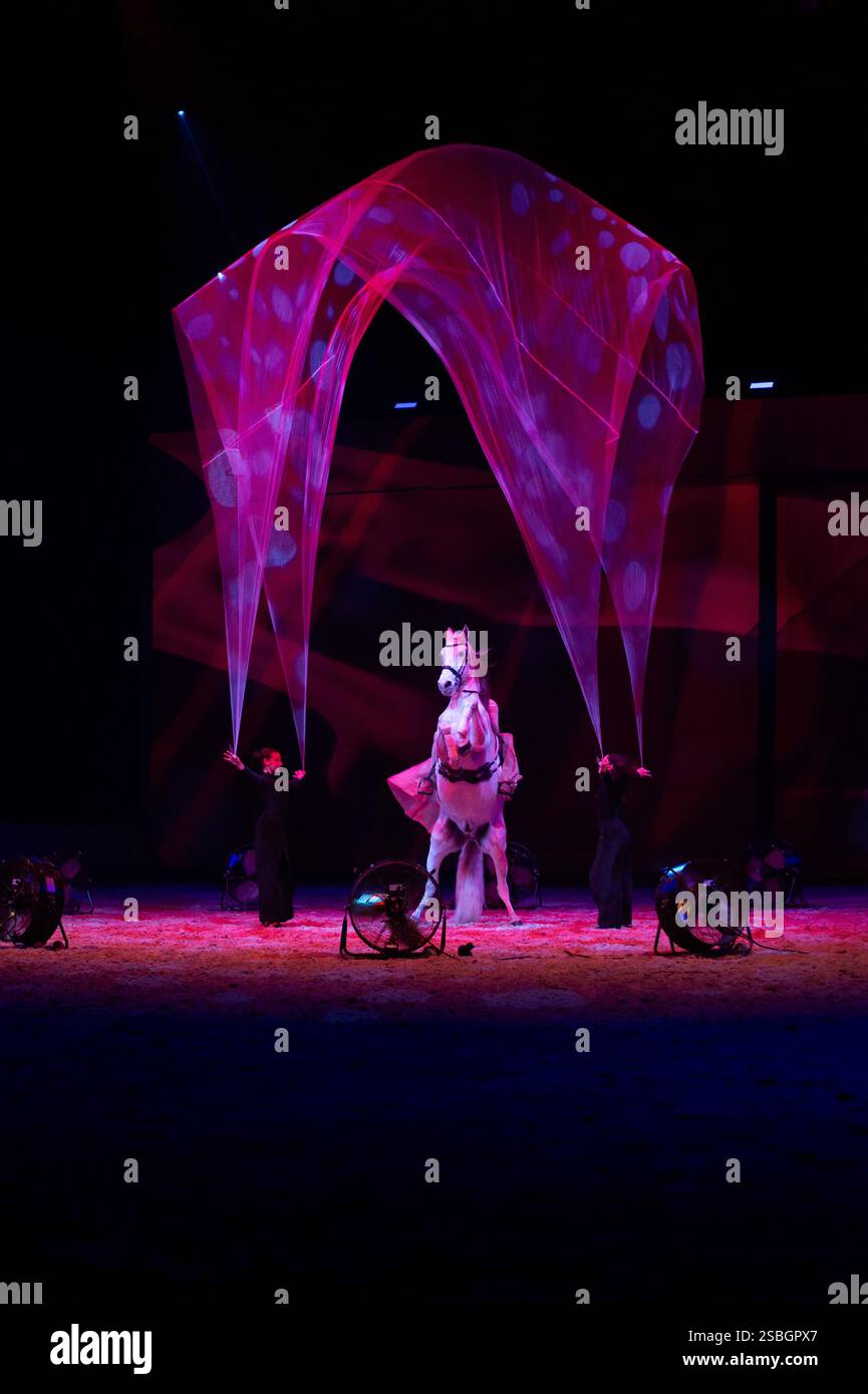 Marie Barcelo und Pierre-Antoine Chastang präsentieren ihre neueste Show „Premier Souffle“, in der ihre Lieblingsdisziplin, Gewölbe und High School Dressur hervorgehoben werden. Pierre-Antoine Chastang, der seit langem auf der Rechnung des Cirque du Soleil steht, widmet sich nun neben Marie Barcelo der Reitkunst. Dieses Paar in der Stadt und auf der Bühne entwirft ihre Choreographie am 26. Januar 2025 im Mas du Sire in den Cevennen im Exposition Park in Avignon. Foto: Cyrille Bernard/ABACAPRESS. KOM Stockfoto