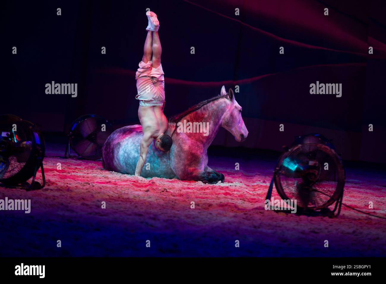 Marie Barcelo und Pierre-Antoine Chastang präsentieren ihre neueste Show „Premier Souffle“, in der ihre Lieblingsdisziplin, Gewölbe und High School Dressur hervorgehoben werden. Pierre-Antoine Chastang, der seit langem auf der Rechnung des Cirque du Soleil steht, widmet sich nun neben Marie Barcelo der Reitkunst. Dieses Paar in der Stadt und auf der Bühne entwirft ihre Choreographie am 26. Januar 2025 im Mas du Sire in den Cevennen im Exposition Park in Avignon. Foto: Cyrille Bernard/ABACAPRESS. KOM Stockfoto