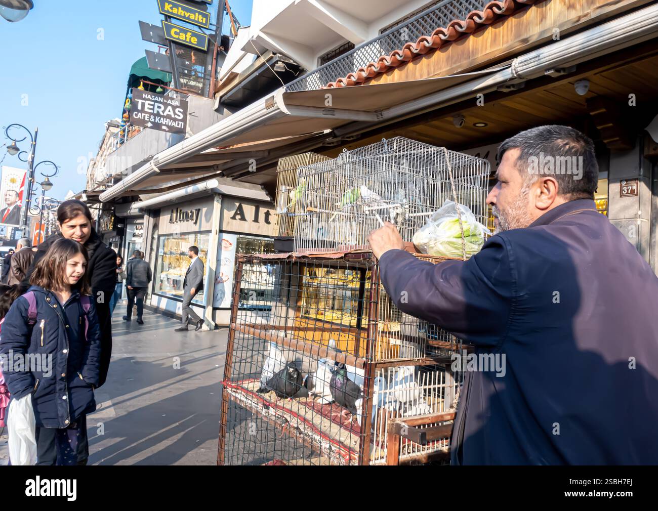 Vogelhändler mit Rollkäfig, Diyarbakır Truthahn Turkiye Stockfoto