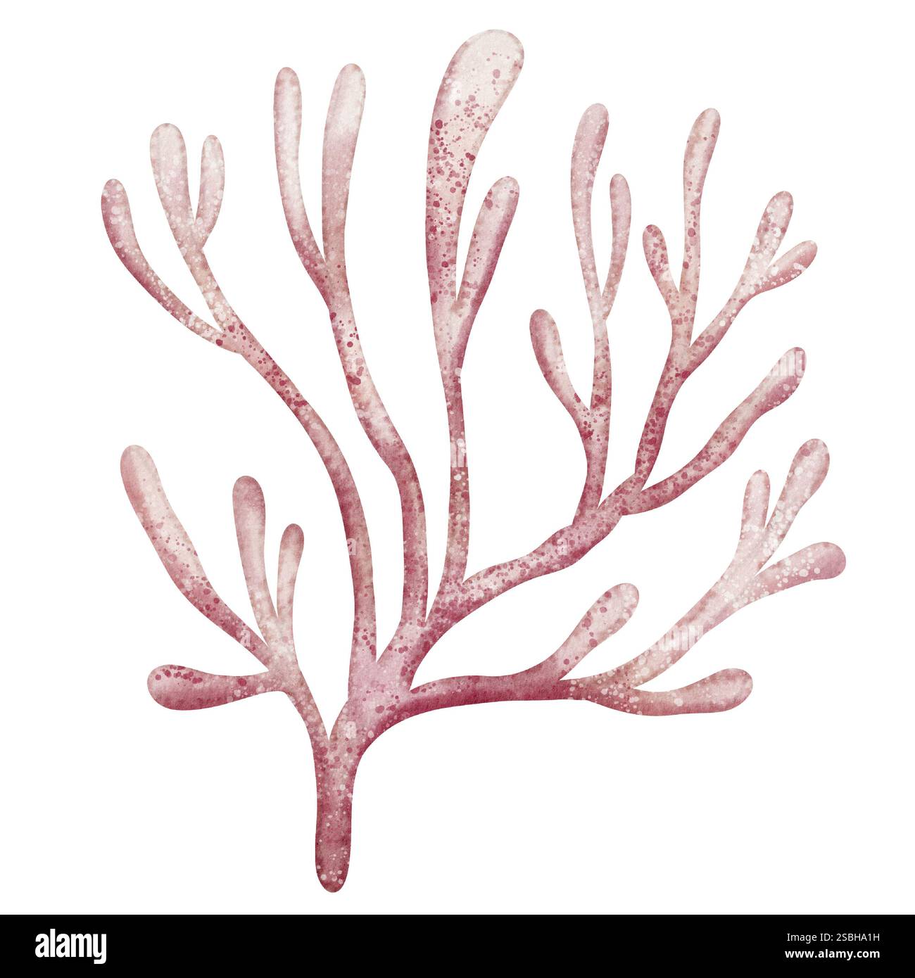 Aquarellillustration eines pastellrosa Korallenriffs. Zeichnung von Meeresgegenständen für kindliche Grußkarten oder Kindereinladungen im nautischen Stil. Zeichnung einer Unterwasserpflanze für Symbol oder Logo. Stockfoto