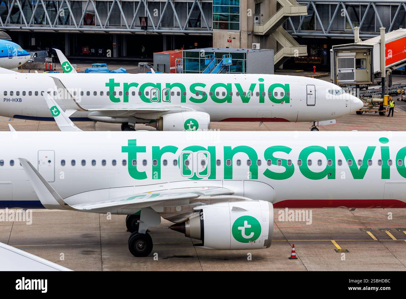 Amsterdam, Niederlande - 1. Juli 2024: Transavia Flugzeuge am Flughafen Amsterdam in den Niederlanden. Stockfoto
