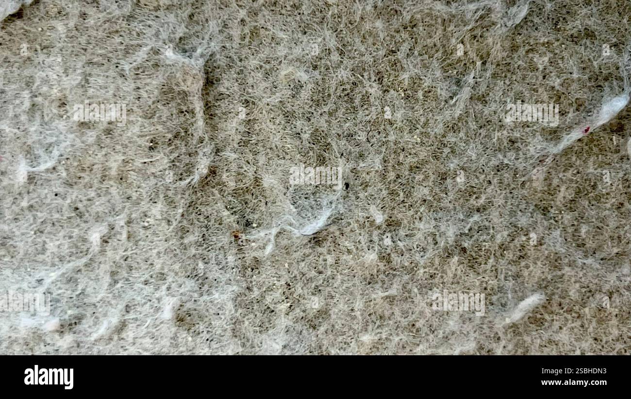Nahaufnahme einer Kunststofffaseroberfläche mit einer einzigartigen Textur, die ihre detaillierte Zusammensetzung unterstreicht. Stockfoto