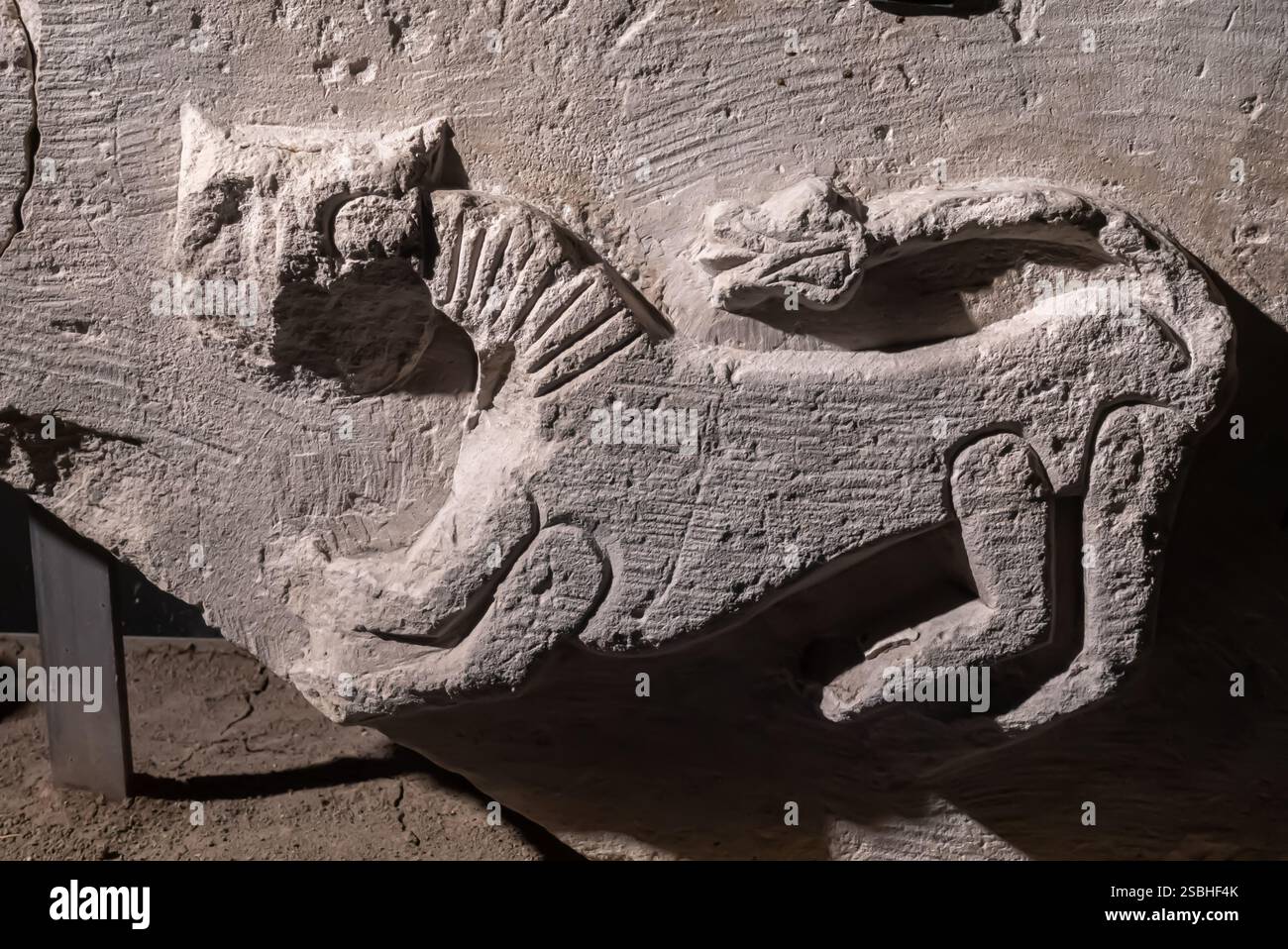 Löwenrelief, Seldschukzeit, Kalkstein Van Archäologisches Museum Türkei Turkiye Stockfoto