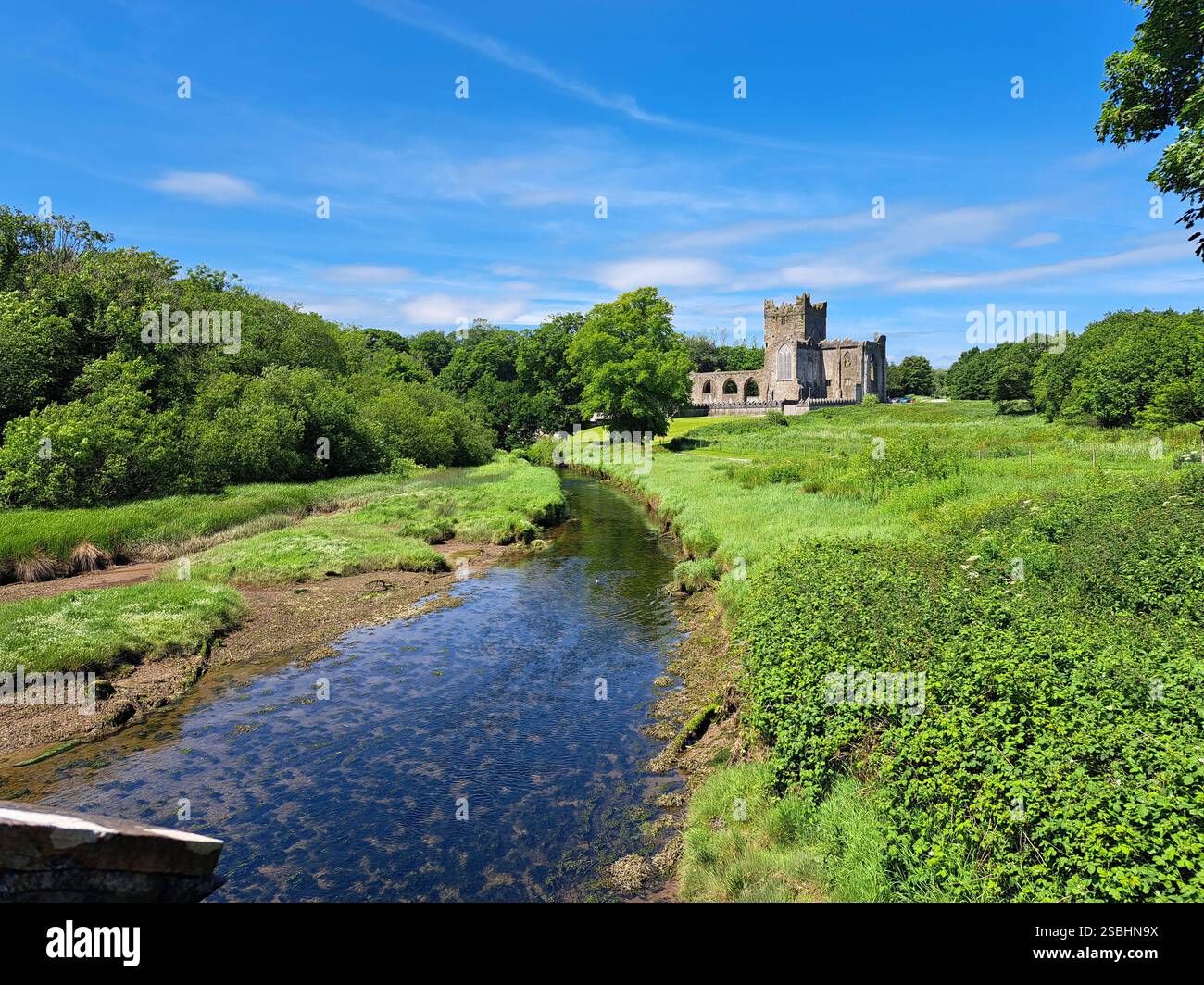 County Wexford’s Tintern Abbey war eine Zisterzienserabtei, die um 1200 auf der Halbinsel Hook gegründet wurde. Heute ist eine atmosphärische Ruine für Besucher inte - Smartphone-aufgenommenes Stockfoto