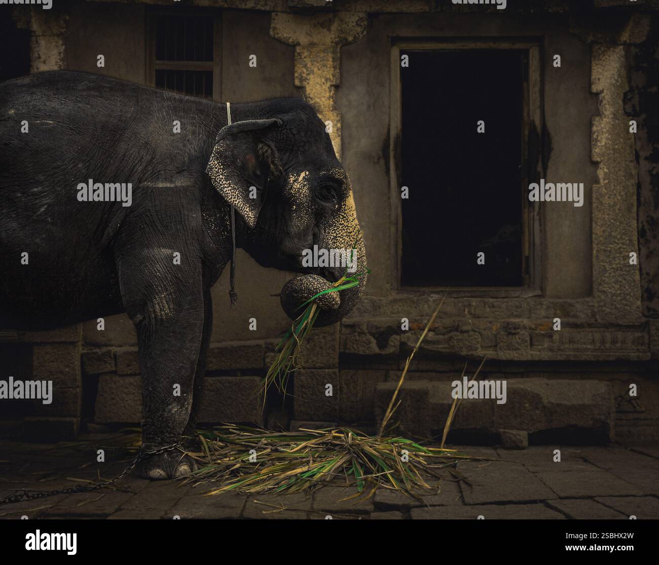 Ein stiller Zeuge des zeitlosen Verfalls! Stockfoto