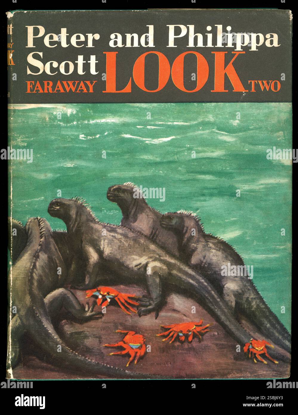 Alte gebrauchte Kopie des gebundenen Buches aus den 1960er Jahren, Vorderseite mit Staubmantel, 'Faraway Look Two', von Peter & Philippa Scott, Faraway Look war eine BBC-Naturserie, das Folgebuch basiert auf Peter Scotts BBC-Fernsehserie Faraway Look. Es erzählt von Peter & Philippa Scotts Reisen und den Tieren und Vögeln, die sie auf den Britischen Jungferninseln, Trinidad, Panama und Galapagos Islands gesehen haben. Sir Peter Scott, der 1960 veröffentlicht wurde, war ein bekannter britischer Naturschützer und Künstler und half bei der Gründung des World Wide Fund for Nature (WWF) und der Gründung des Wildfowl & Wetlands Trust in Slimbridge, Großbritannien. Stockfoto