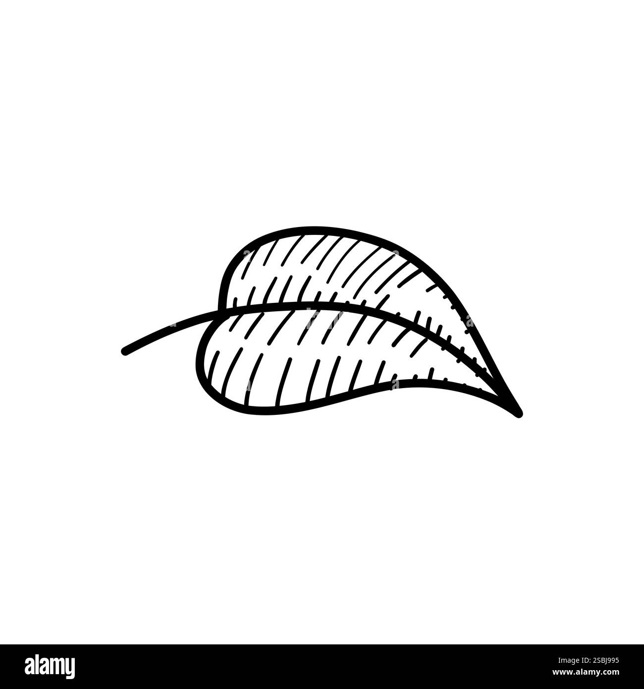 Illustration eines Blattes mit Streifenmuster und strukturierten Details. Ein einfaches botanisches Liniendesign, ideal für moderne, von der Natur inspirierte Kreationen Stock Vektor
