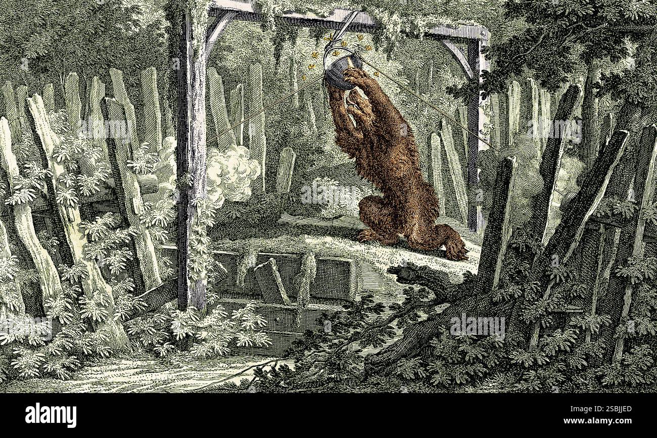 Eine Honigfalle für einen Bären im Wald. Ätzung von Johann Elias Ridinger (1698-1767). Farbig. Stockfoto