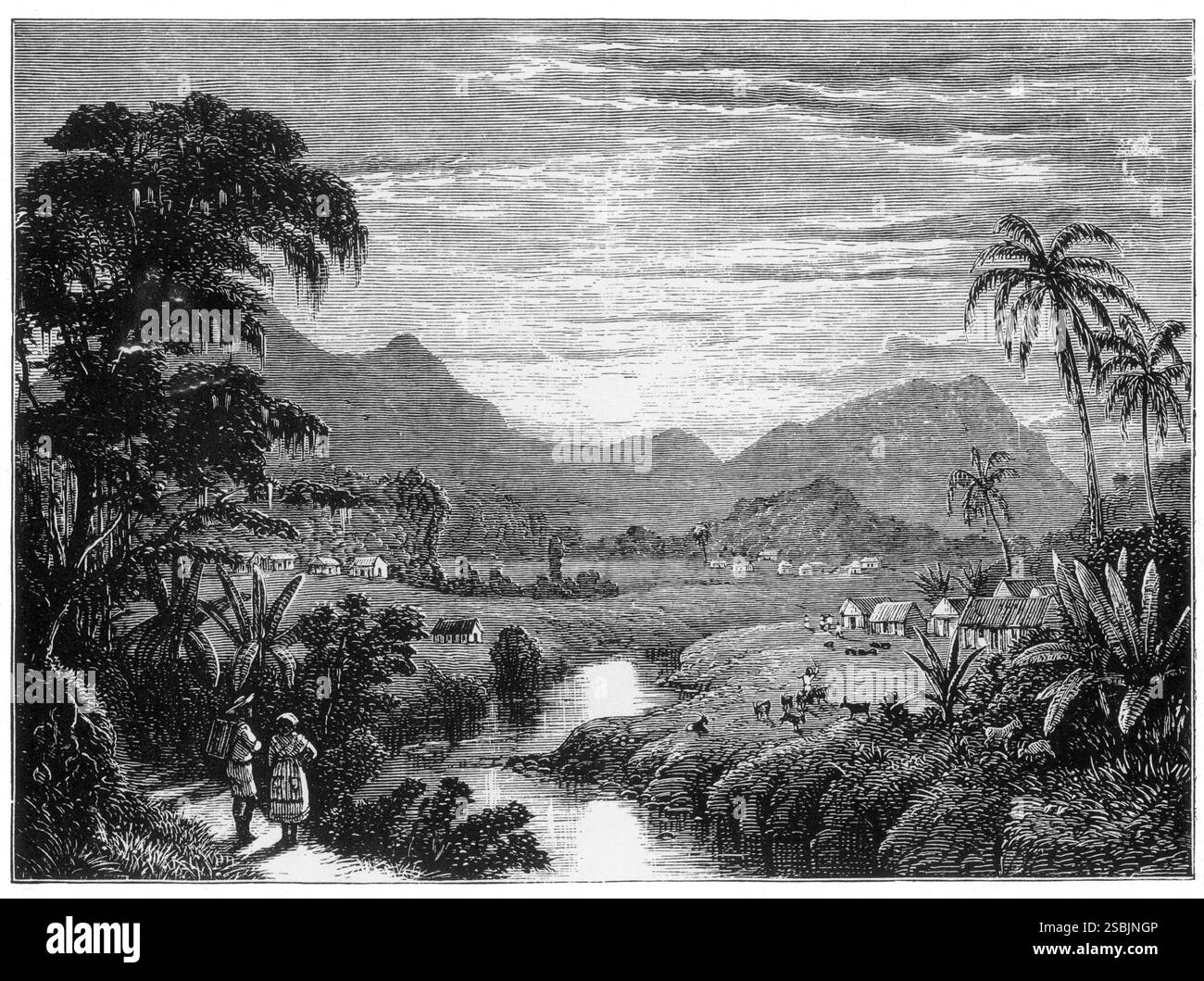 Pastoralstich Haitis aus dem 19. Jahrhundert. Stockfoto