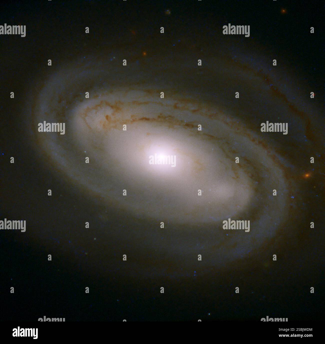 Die vergitterte Spiralgalaxie NGC 3895 wurde erstmals 1790 von William Herschel entdeckt. Bild des Hubble Space Telescope. Stockfoto