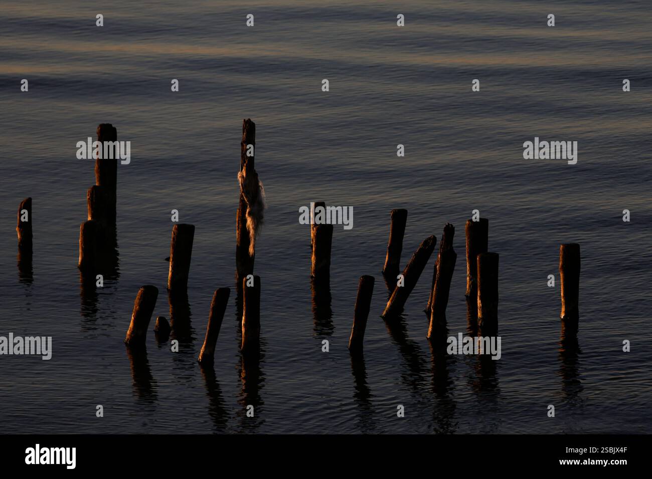Anhäufungen alter Pier Stockfoto