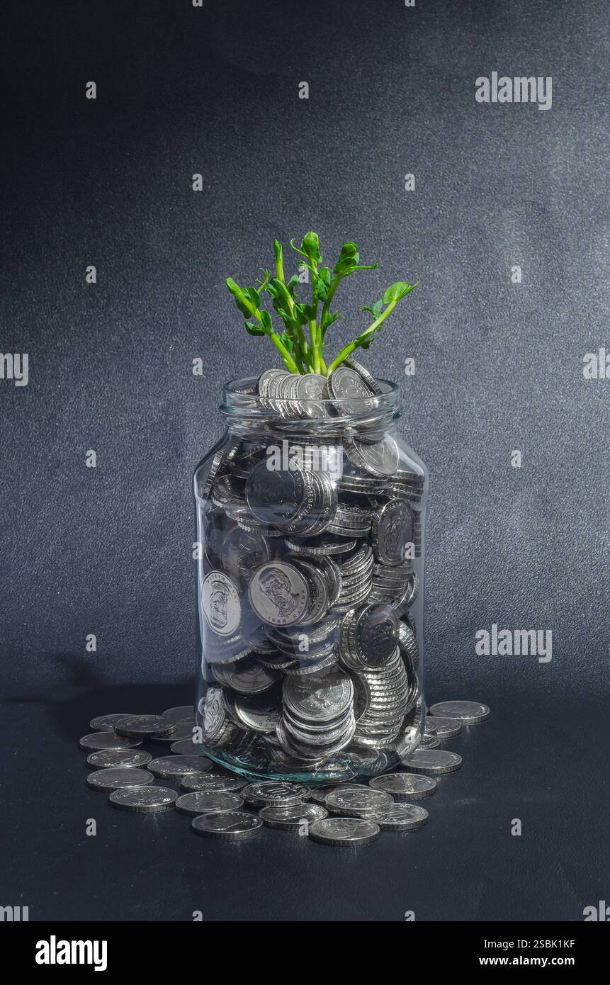 Start-up, Wachstumseinstellung, Wiederherstellung im Geschäftskonzept. Mehrere grüne Sprossen in Glasgefäß mit Silbermünzen, beleuchtet durch Sonnenstrahl Stockfoto