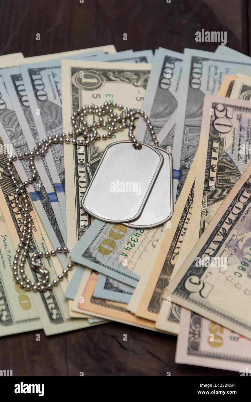 Ein metallenes Armeehund-Anhänger mit Kette hängt auf US-Dollar, was das Thema der Militärwirtschaft widerspiegelt Stockfoto