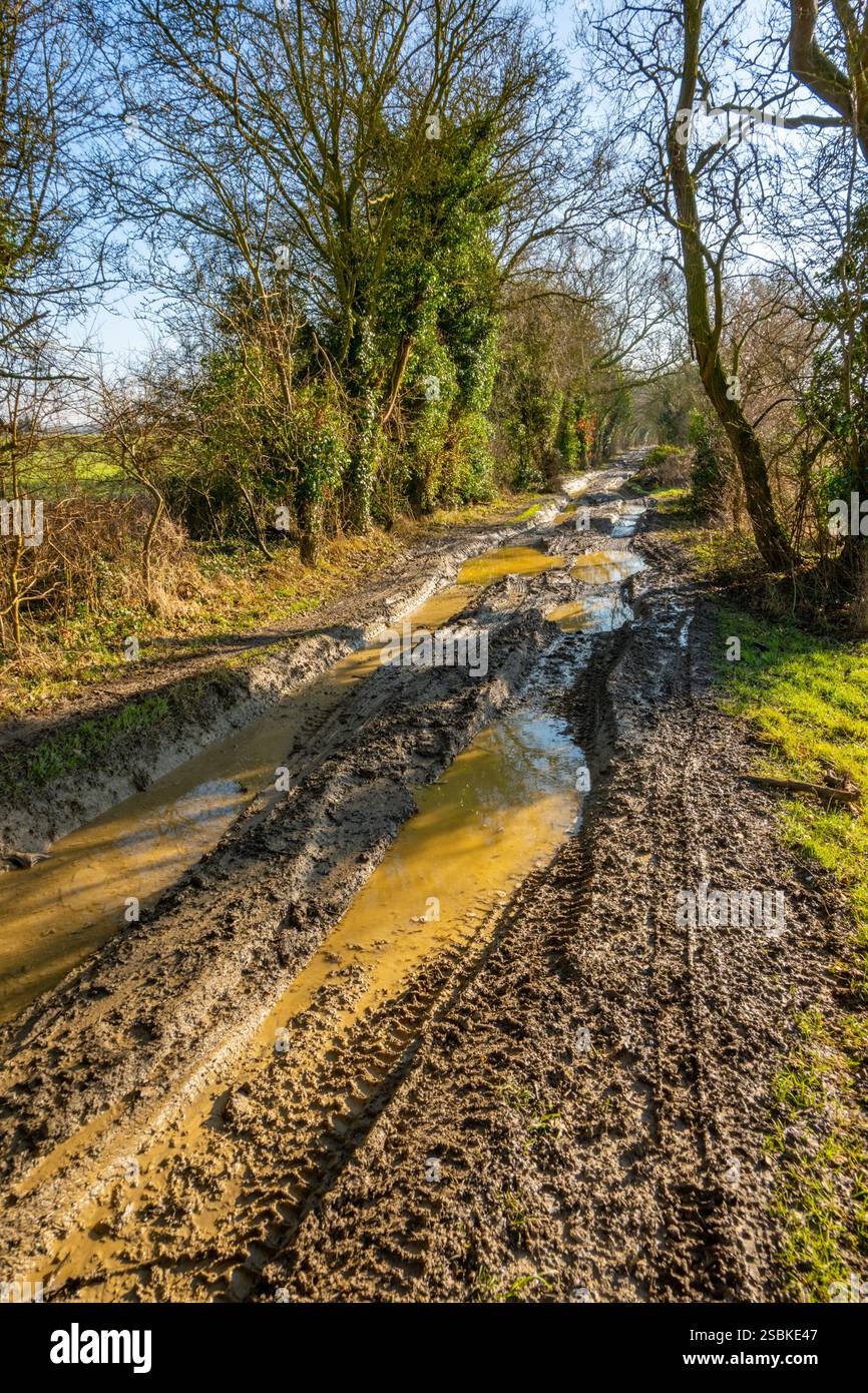 Grünes Land, das von Geländefahrzeugen in der Nähe der Howe Street Essex aufgewühlt wird Stockfoto