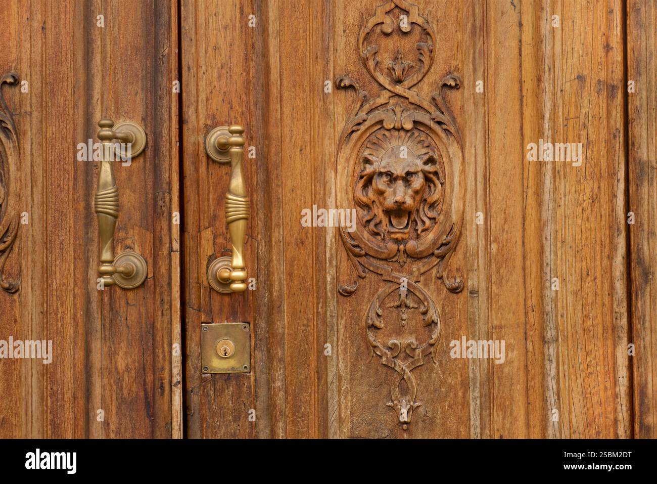 Detail einer geschnitzten Holztür zu einem Apartmentgebäude mit Messinggriffen und geschnitztem Löwen. Stockfoto