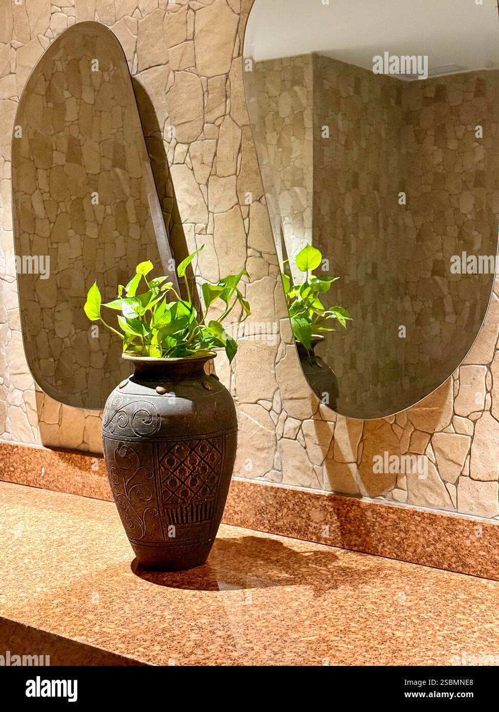 Eine schwarz-weiße Katze mit auffälligen grünen Augen blickt unter einer weichen Decke hervor und verleiht einen entzückenden und neugierigen Look. - Smartphone-aufgenommenes Stockfoto