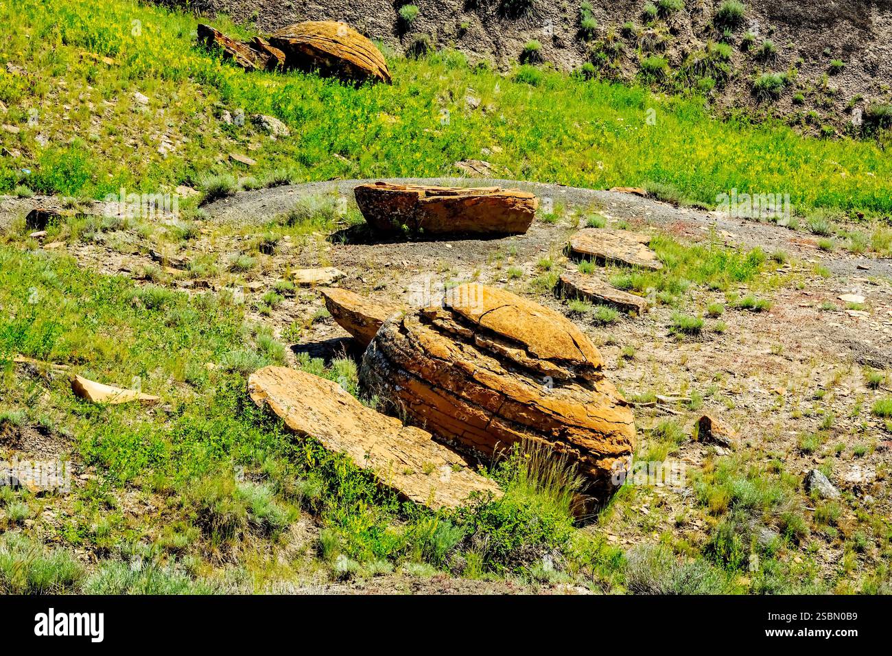 Großer Felsen liegt auf einem Hügel neben einem grasbewachsenen Gebiet. Es gibt andere Gesteine, die in der Gegend verstreut sind Stockfoto