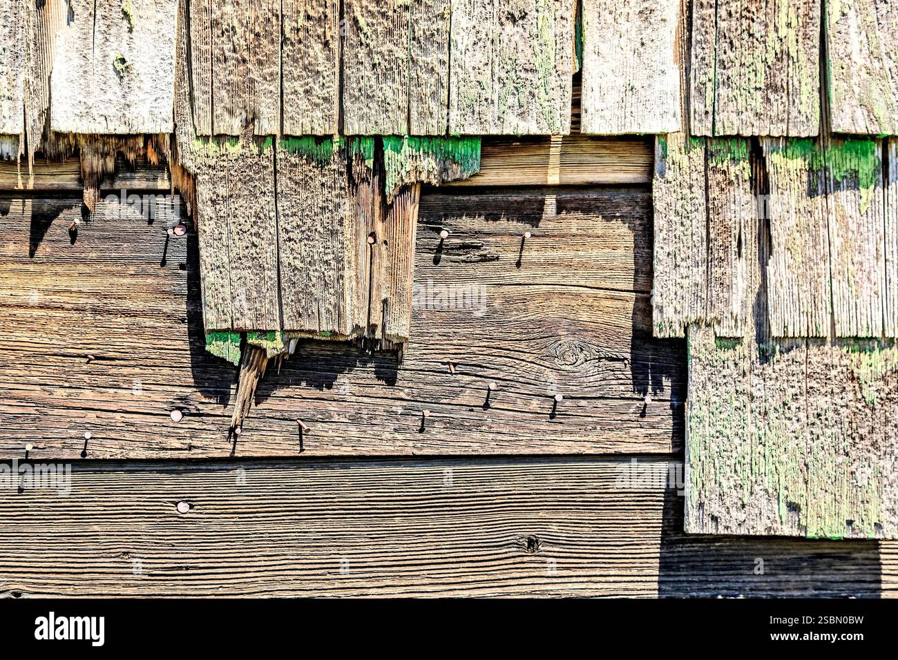 Hölzerne Wand mit grünem Moos, das darauf wächst. Die Mauer ist alt und hat viele Risse Stockfoto