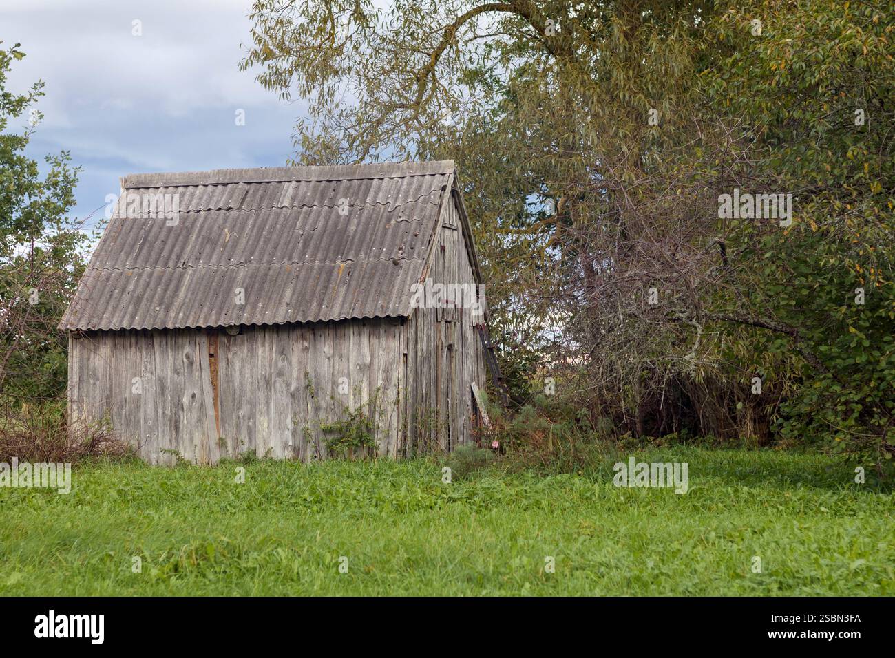 Eine alte Holzhütte auf einem grasbewachsenen Feld mit dunklem Dach. Stockfoto