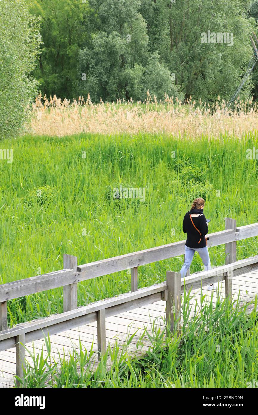Frankreich, Mosel, Metz, Sablon und Amphitheatre, Jean-Marie-Pelt Gärten (oder Seille Park) wurden mit dem Ecojardin-Label ausgezeichnet, die Lagune Stockfoto