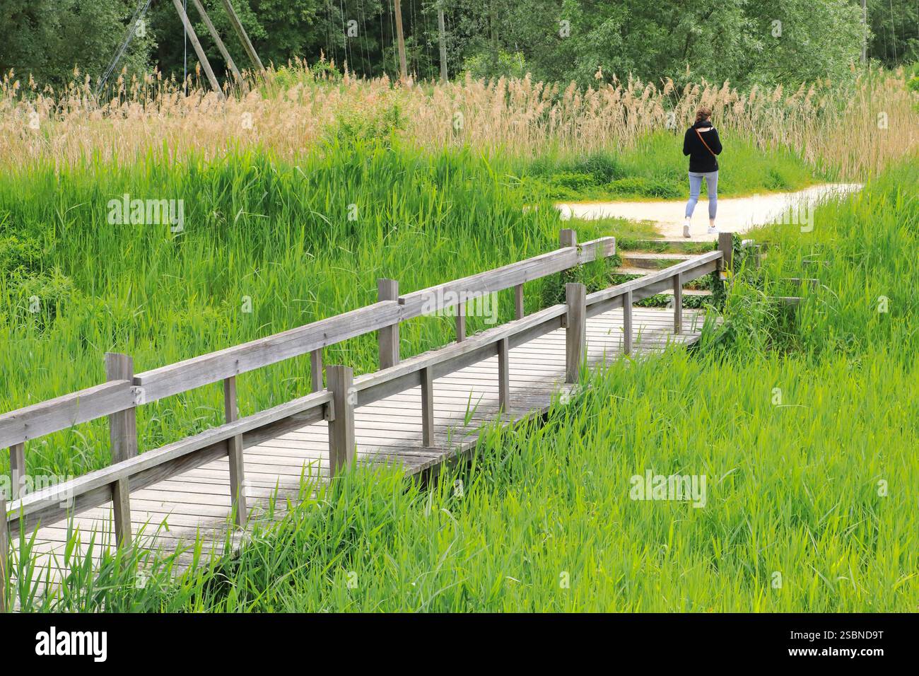 Frankreich, Mosel, Metz, Sablon und Amphitheatre, Jean-Marie-Pelt Gärten (oder Seille Park) wurden mit dem Ecojardin-Label ausgezeichnet, die Lagune Stockfoto