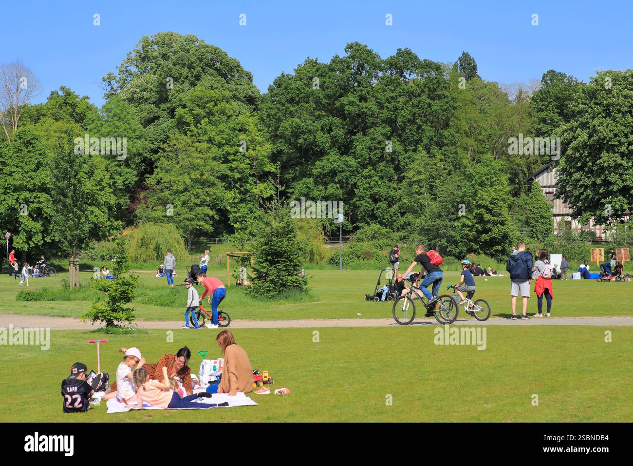 Frankreich, Moselle, Metz, Longeville-lès-Metz, Plan d'Eau, Rasen im Park Stockfoto