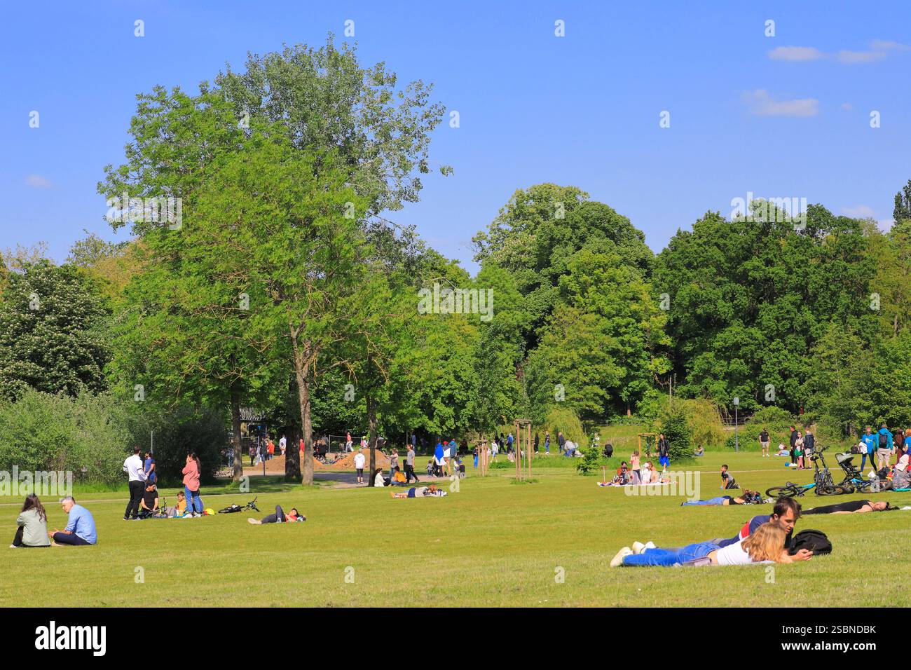 Frankreich, Moselle, Metz, Longeville-lès-Metz, Plan d'Eau, Rasen im Park Stockfoto