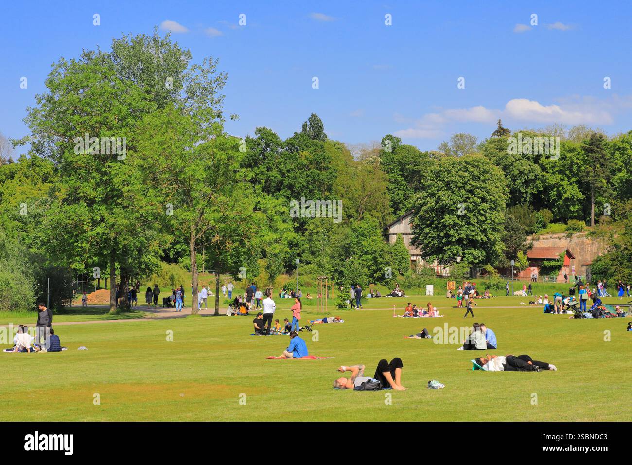 Frankreich, Moselle, Metz, Longeville-lès-Metz, Plan d'Eau, Rasen im Park Stockfoto