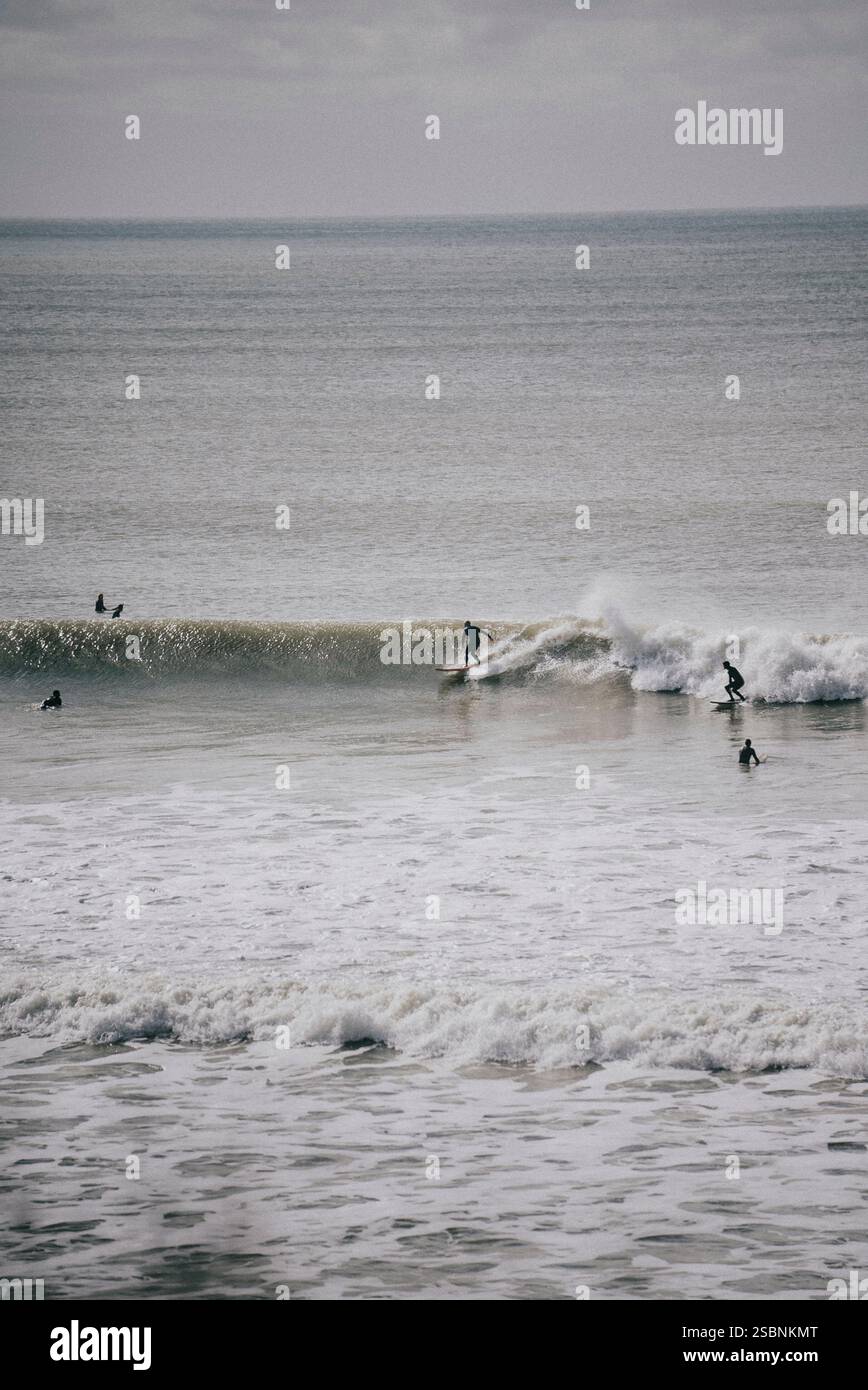 Eine Gruppe von Surfern reitet auf einer Welle im Meer. Die Szene ist energiegeladen und abenteuerlich, während die Surfer den Nervenkitzel genießen, auf den Wellen zu reiten Stockfoto