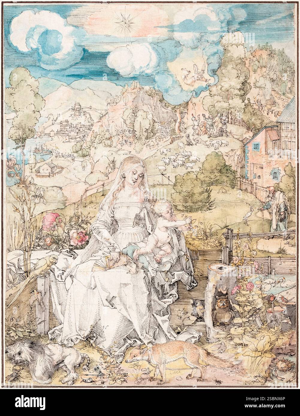 Albrecht Durer, Maria unter einer Vielzahl von Tieren, Porträtzeichnung in Stift und Tinte, Kreide mit Aquarell, um 1503 Stockfoto