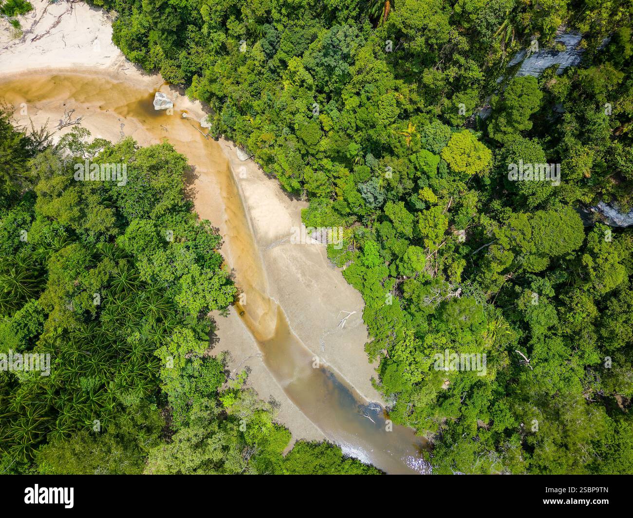 Vertikale Ansicht eines kleinen Flusses, der durch dichten tropischen Regenwald in Borneo fließt Stockfoto