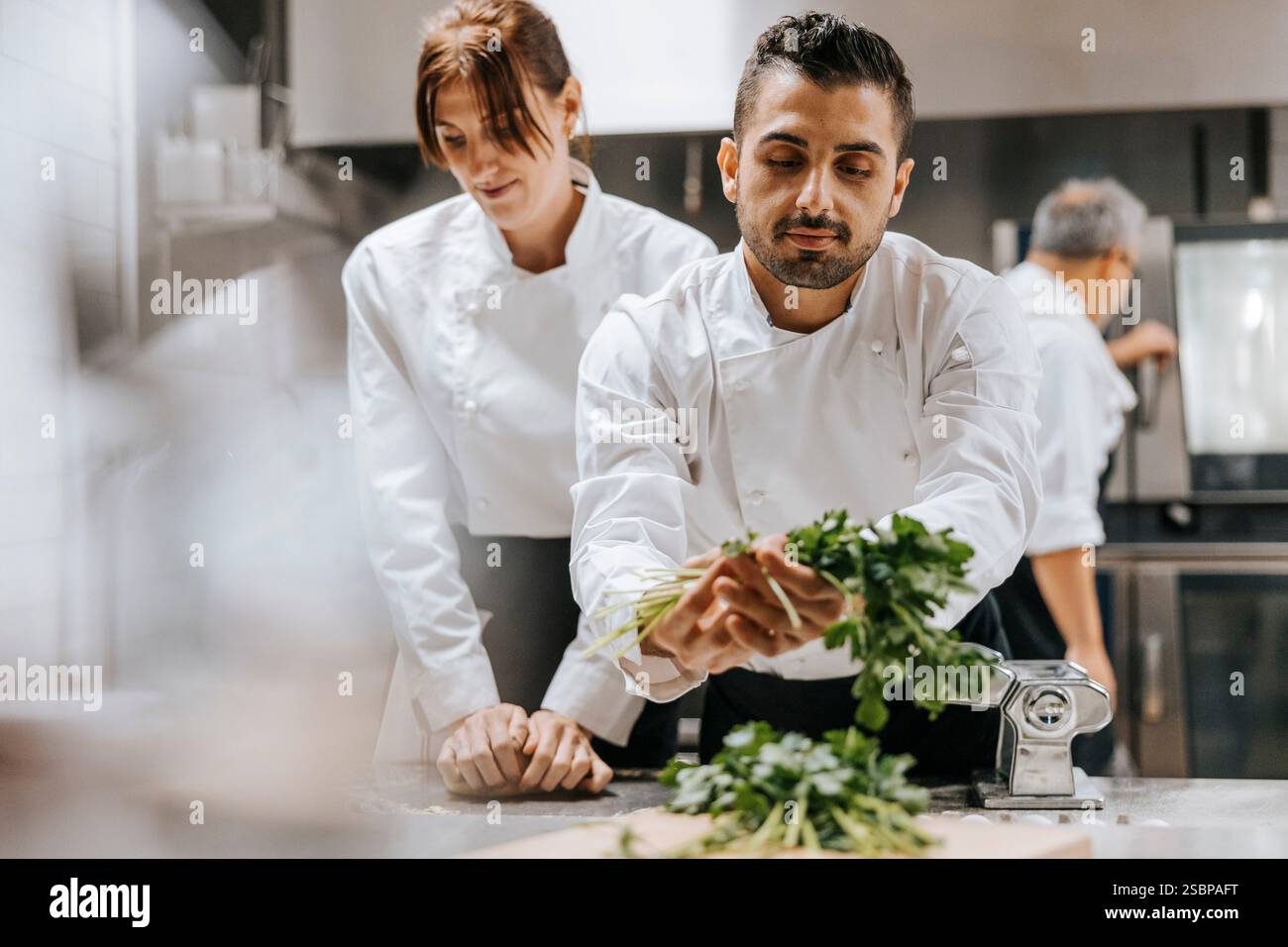 Junger männlicher Koch, der Koriander nimmt, während er in der Küche mit einer Kollegin im Restaurant arbeitet Stockfoto